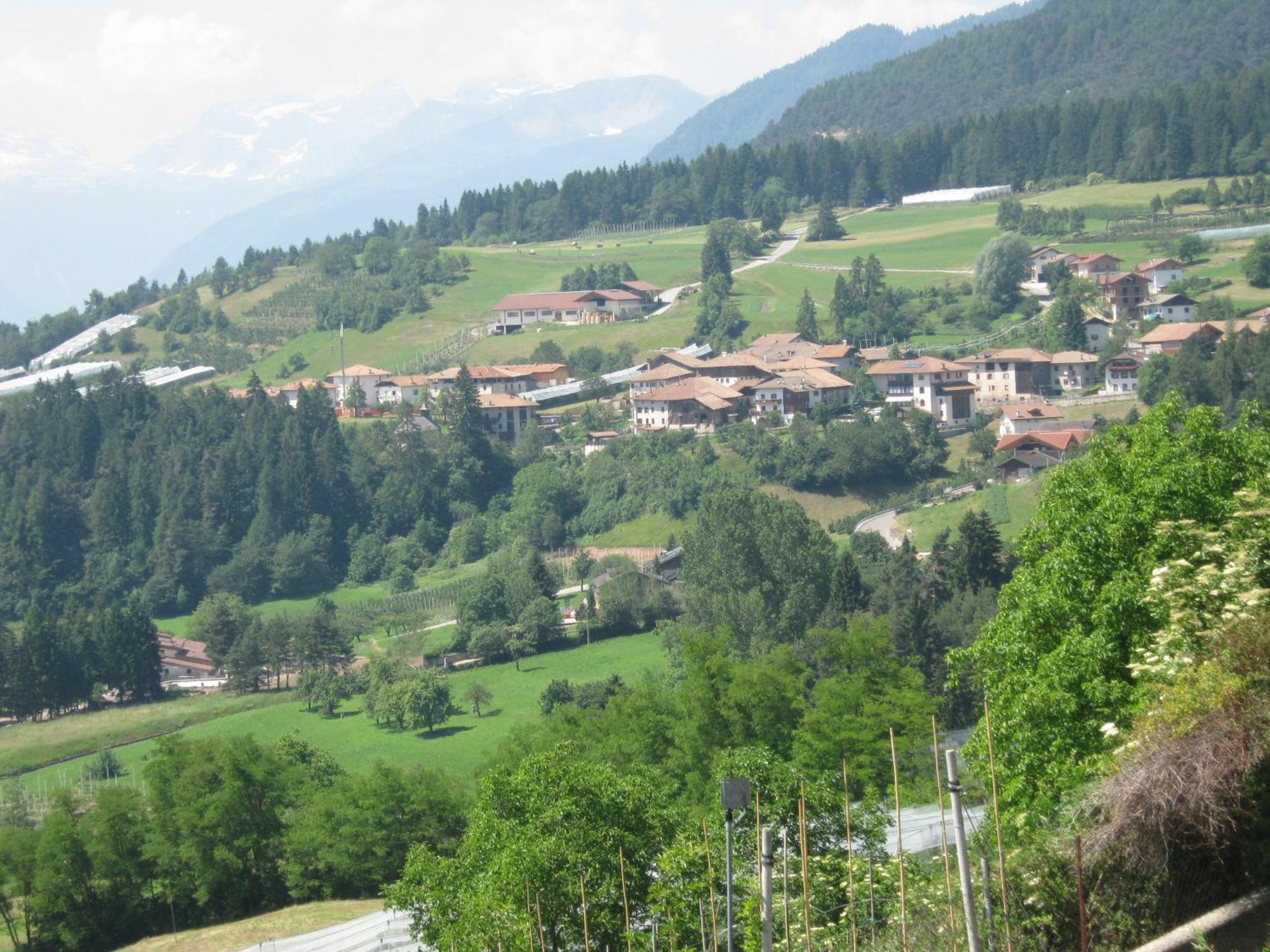 Agriturismo Pisani Brez Eksteriør billede